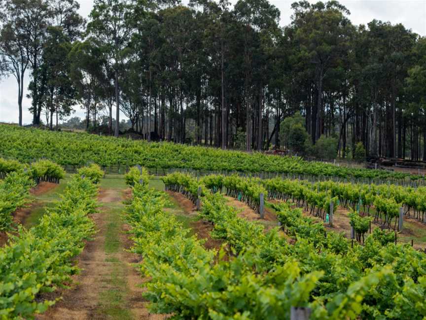 Peter Drayton Wines, Pokolbin, New South Wales