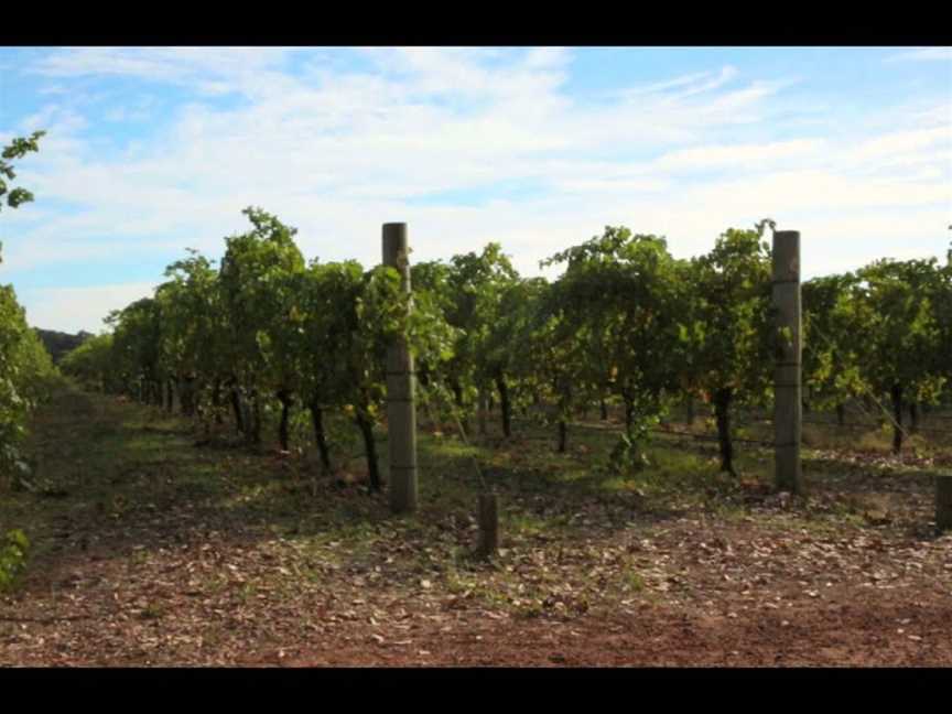 Robert Oatley Vineyards, Mudgee, New South Wales