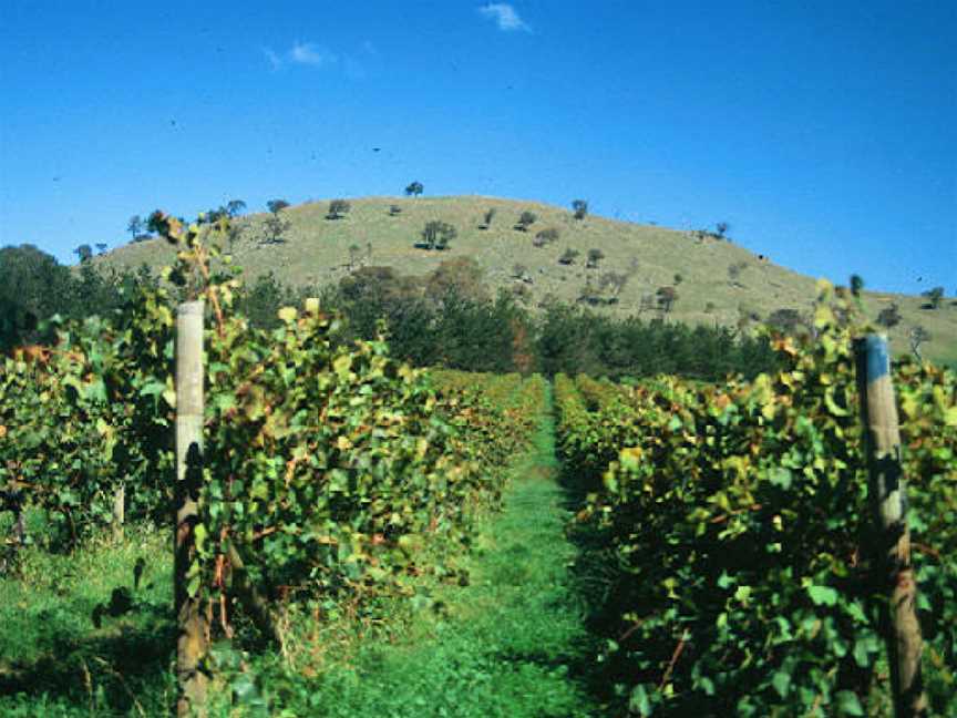 Surveyor's Hill Vineyards, Wallaroo, New South Wales