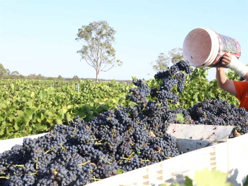 Travertine Wines, Pokolbin, New South Wales
