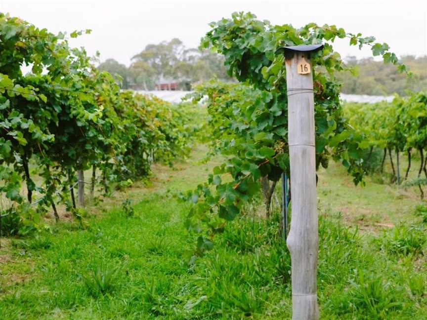 Yarrh Wines, Murrumbateman, New South Wales