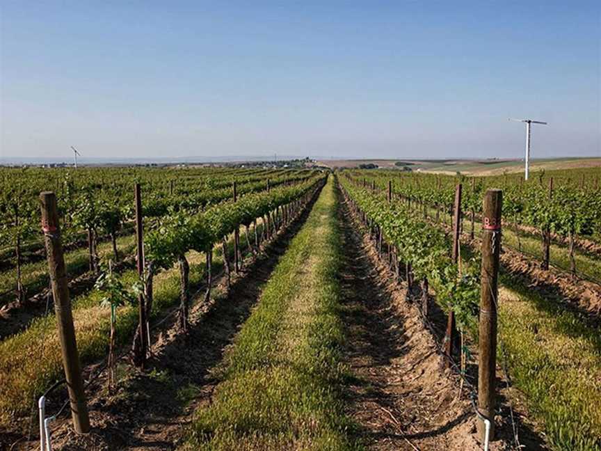 Echo Ridge Wines, Wineries in Pokolbin