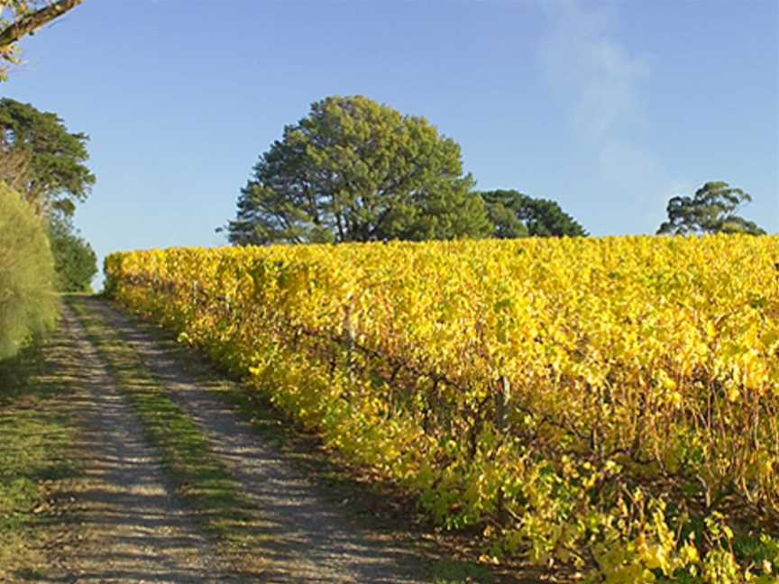 Monument Vineyard, Wineries in Cudal