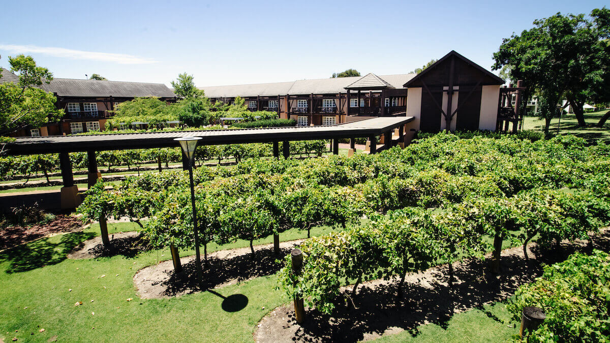 The Vines Resort in the Swan Valley