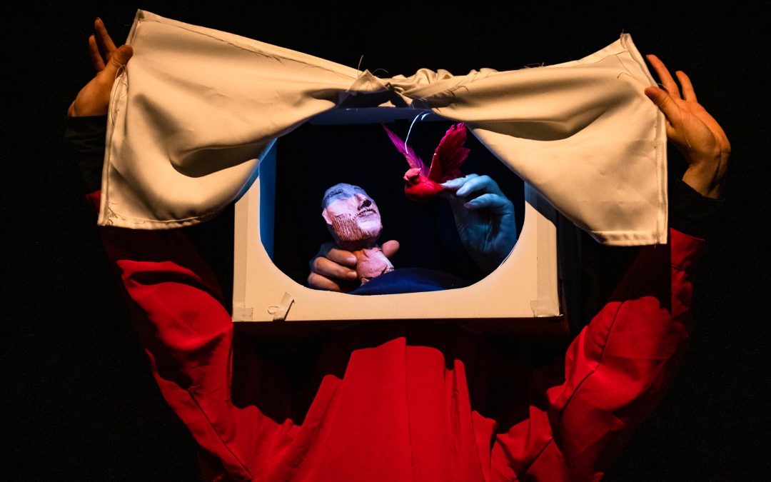 WAAPA students welcome audiences into the world of puppeteering