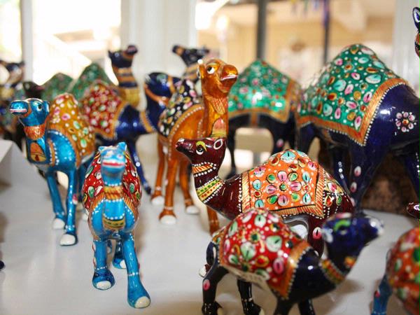 Camel Store