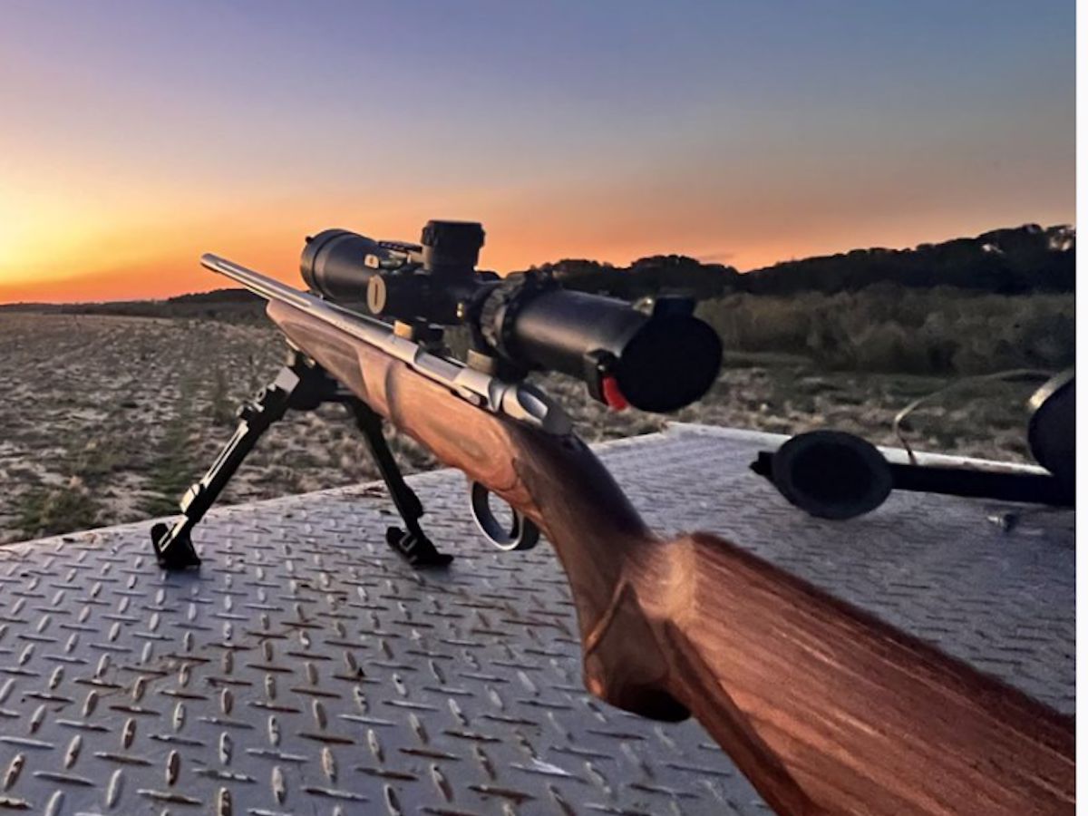 Belmont Guns & Ammo