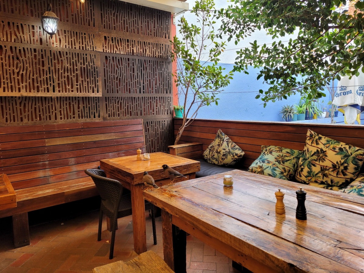 Coogee Courtyard