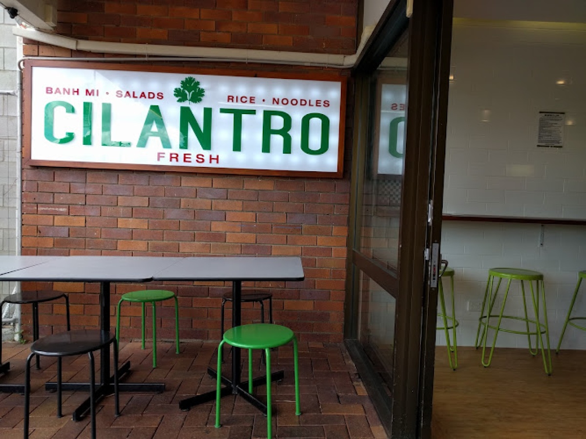 Cilantro Fresh