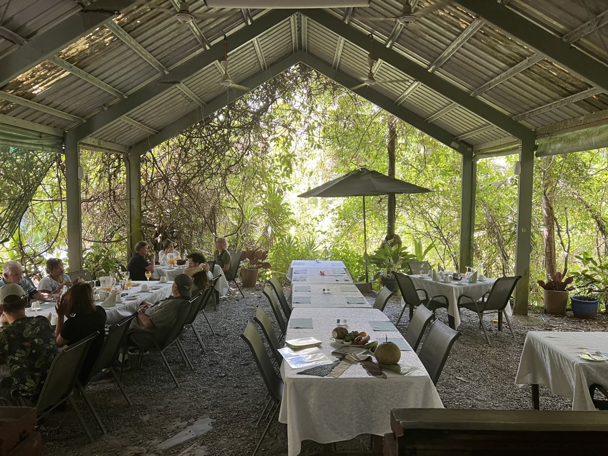 Daintree Teahouse Restaurant, Daintree