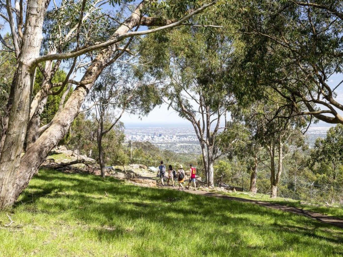 Adelaide Central YHA photo