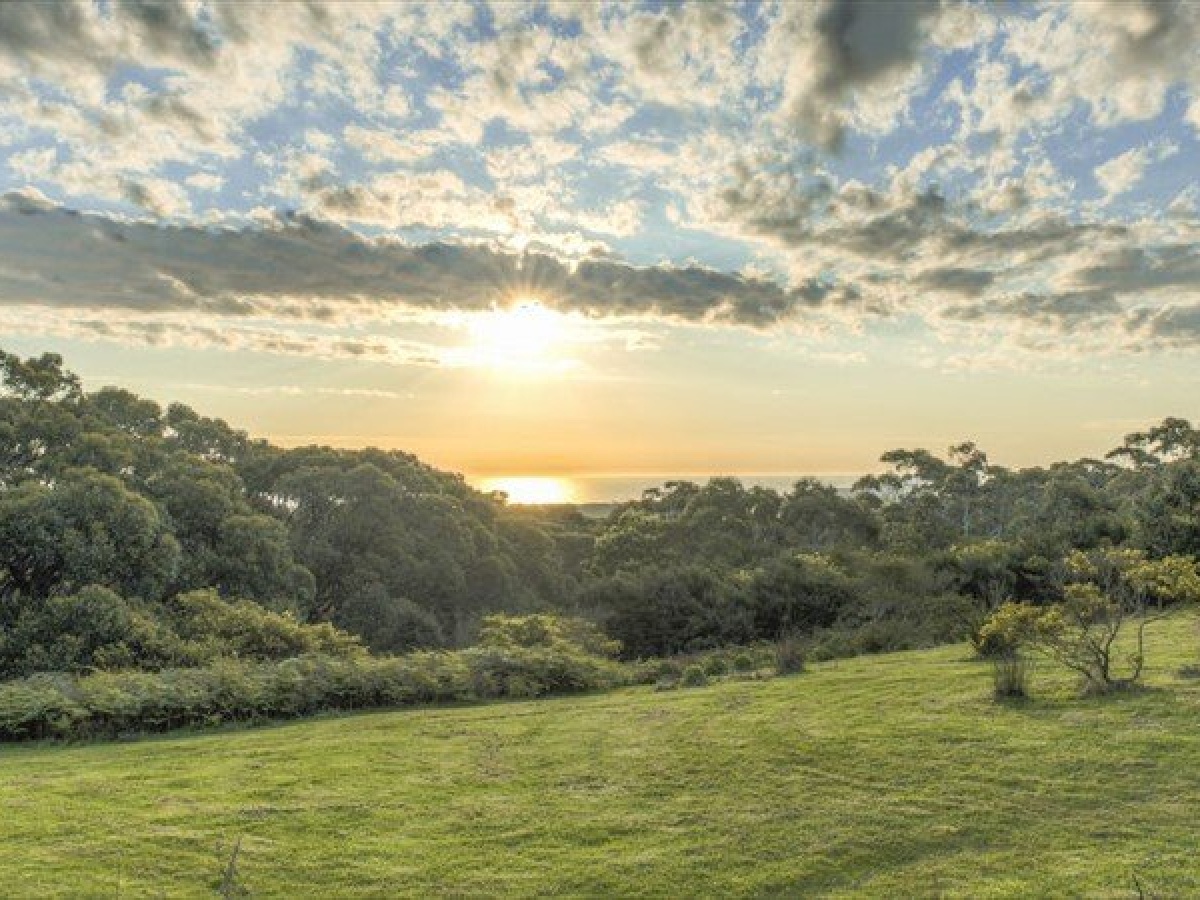 Alkina Lodge – Great Ocean Road photo