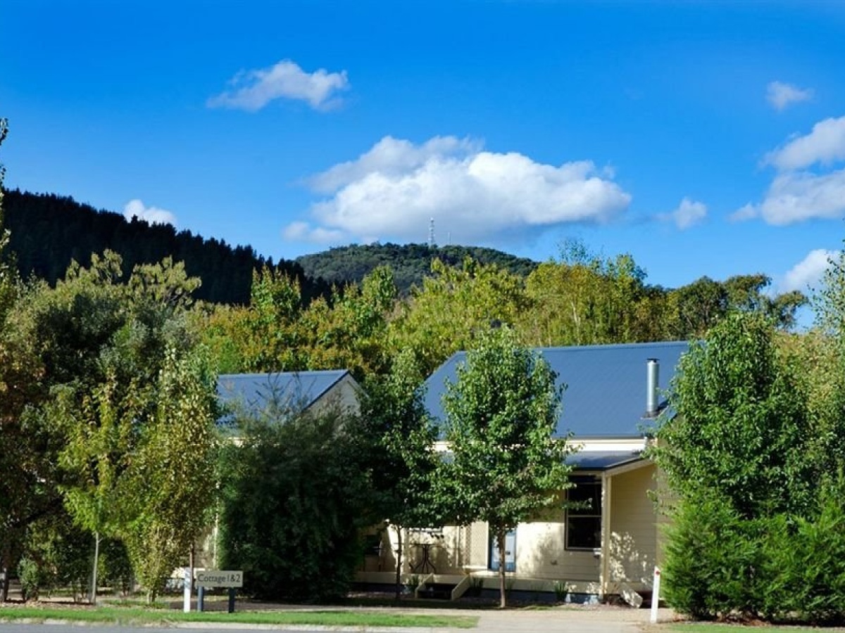 Alpine Valley Cottages photo