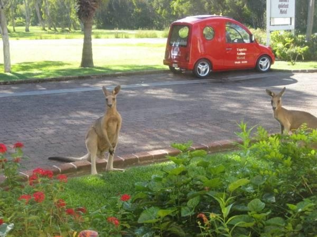 Aston Motel Yamba photo