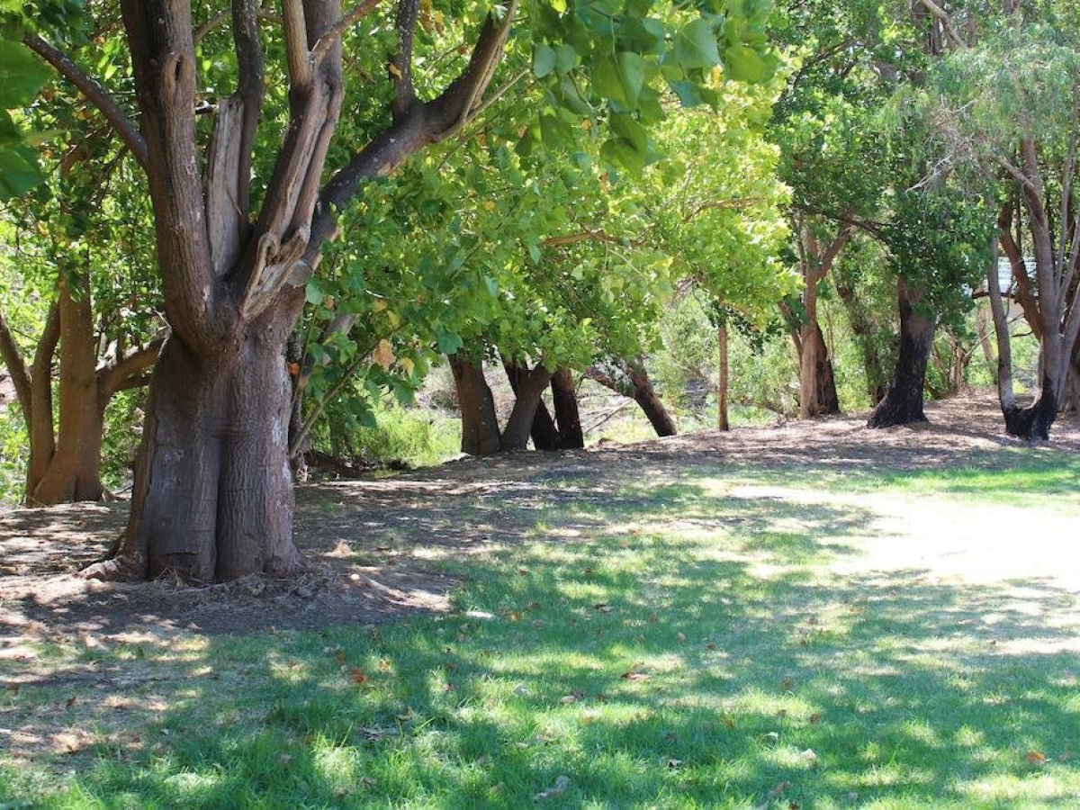 Avocados Accommodation photo