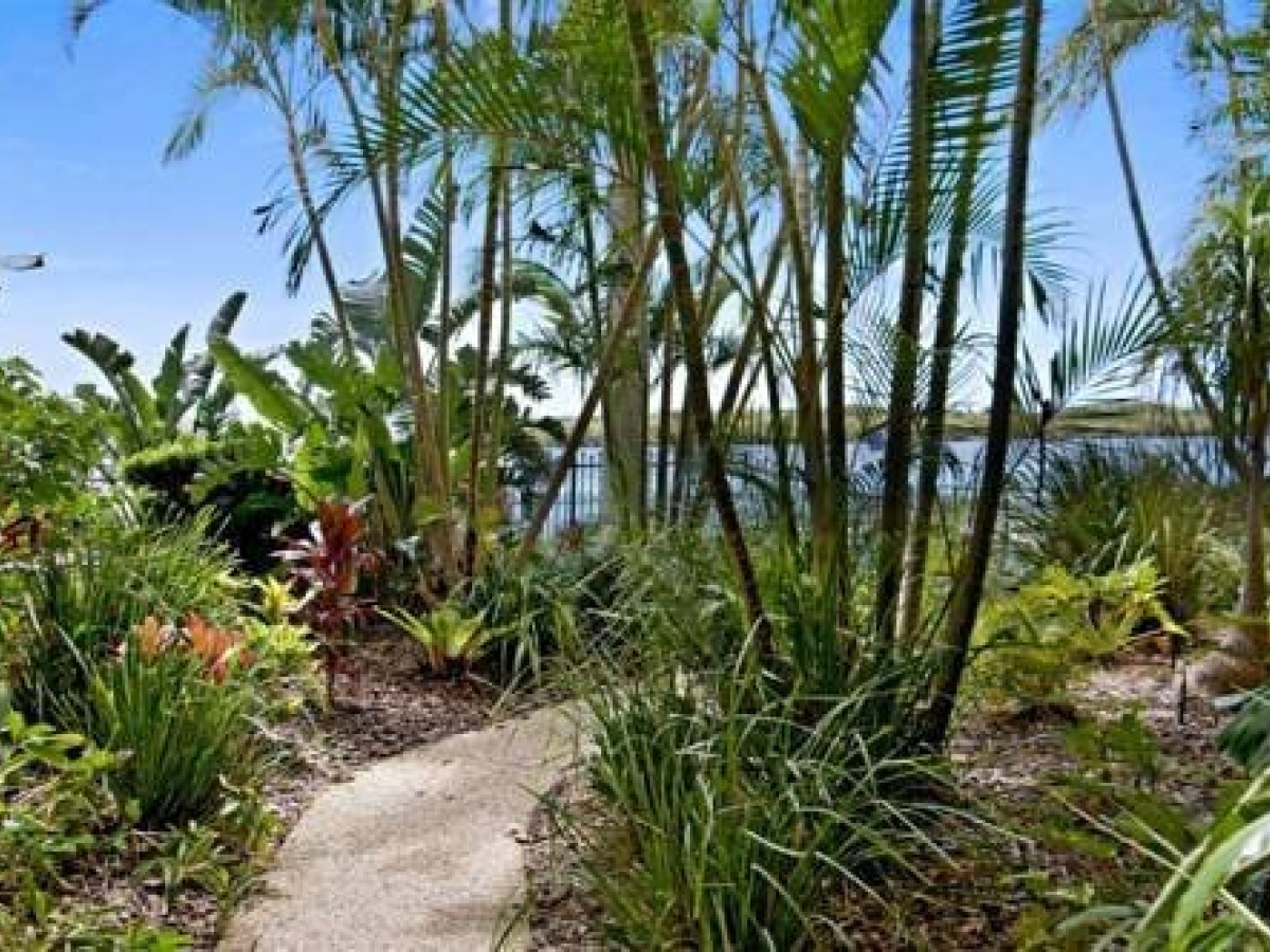 Banyandah Towers photo