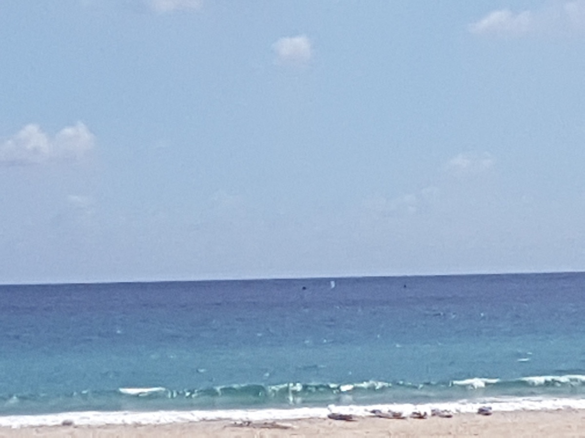 Bellakai photo