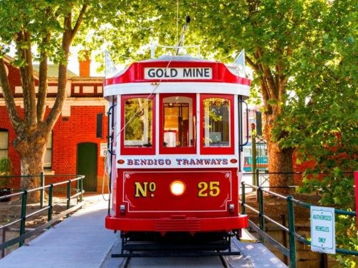 Bendigo Backpackers photo