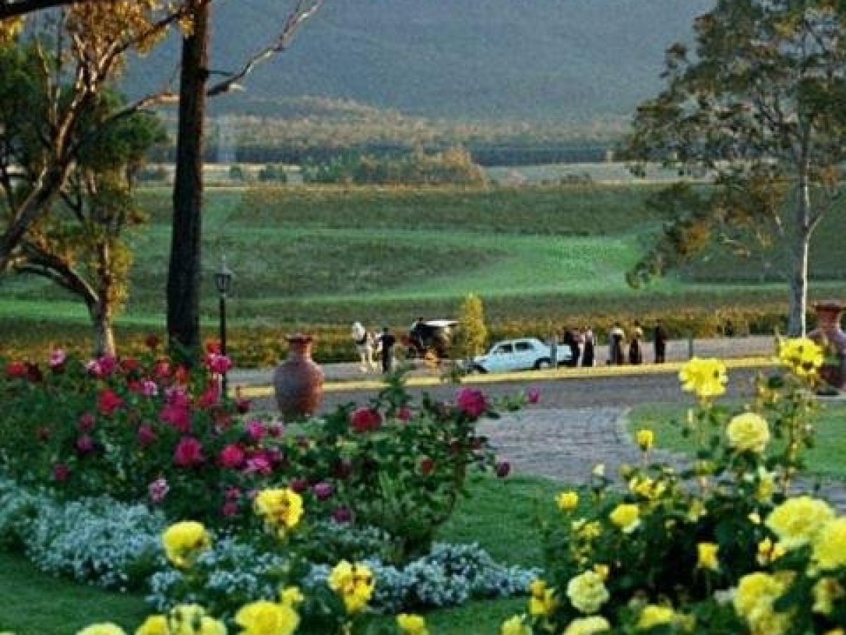 Berenbell Vineyard Retreat photo