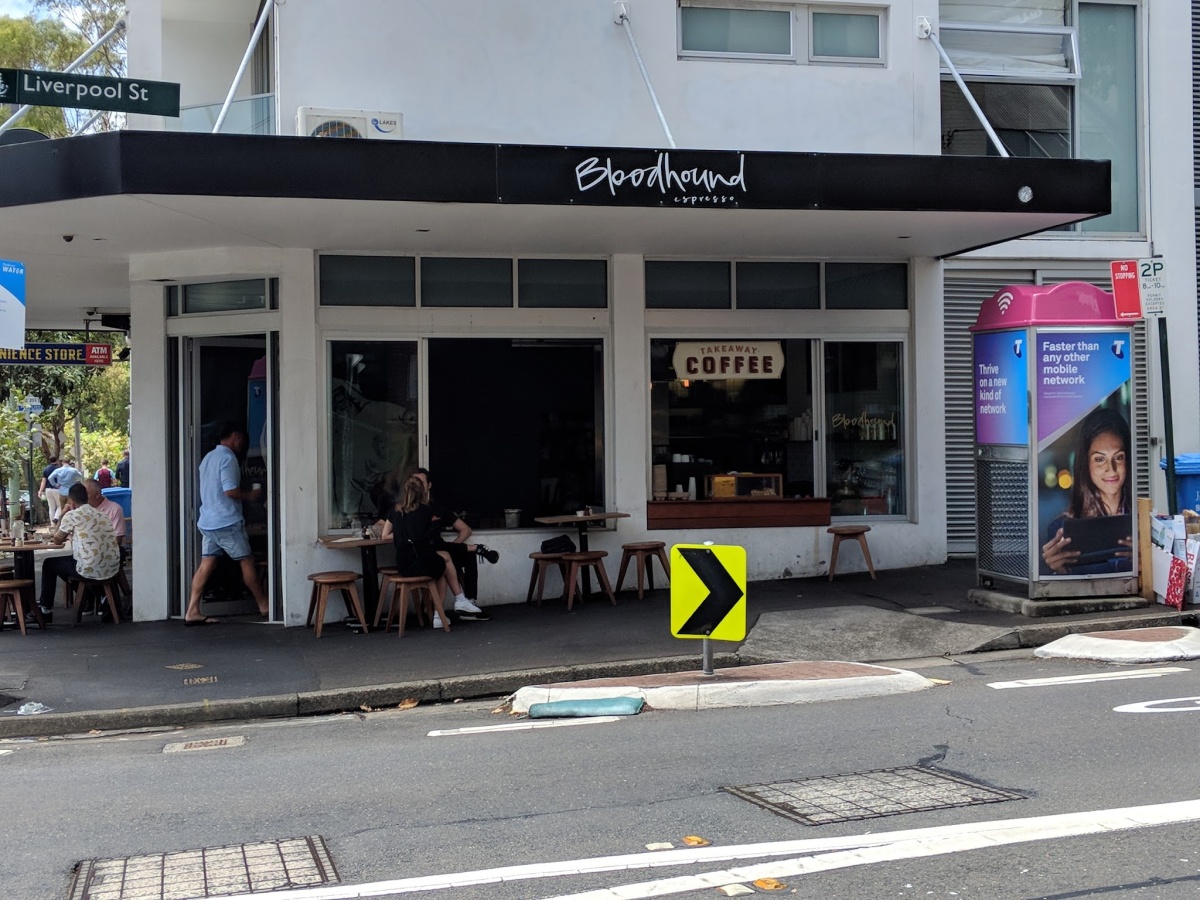 Bloodhound Espresso photo