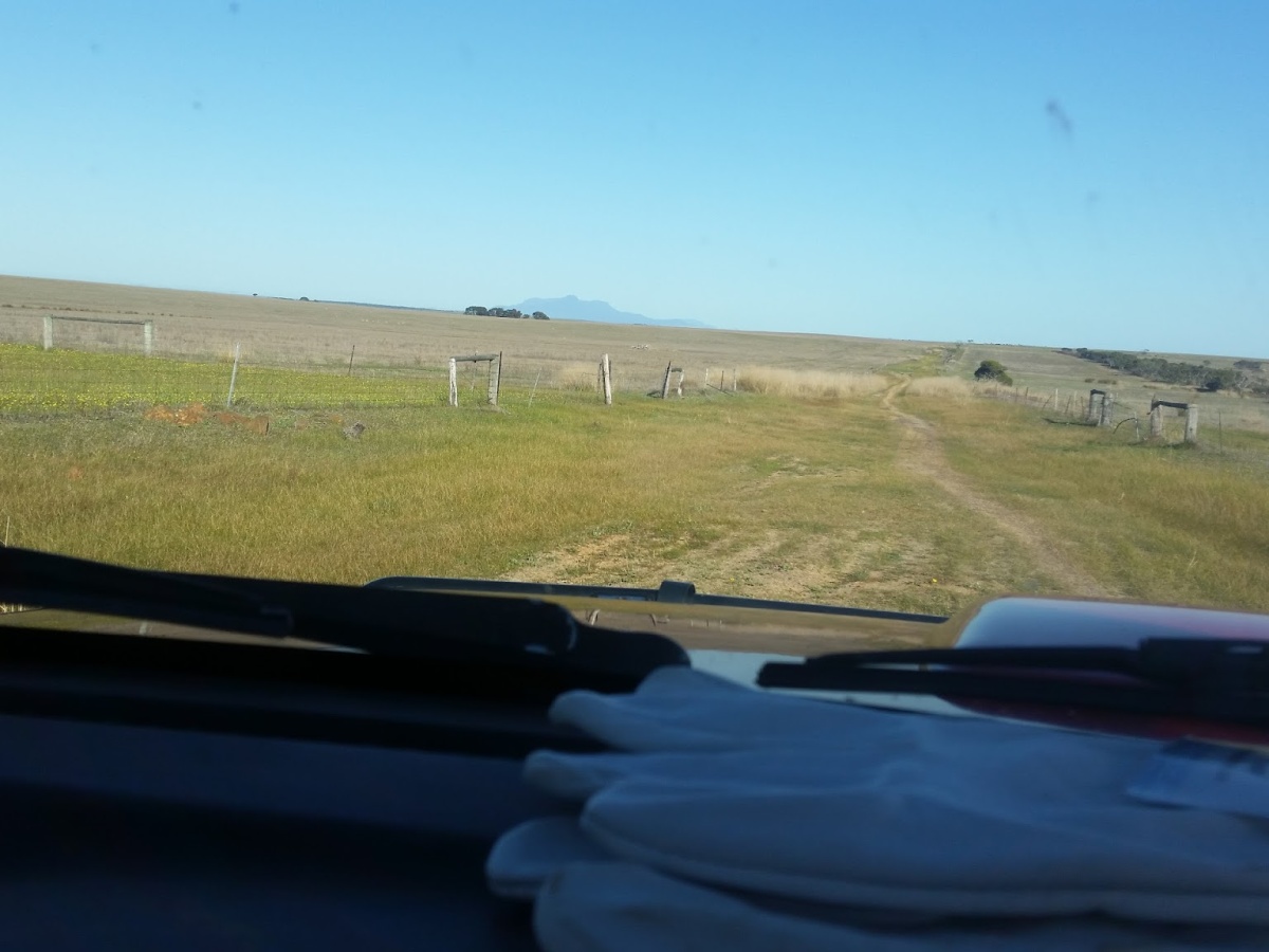Boxwood Hill Roadhouse photo