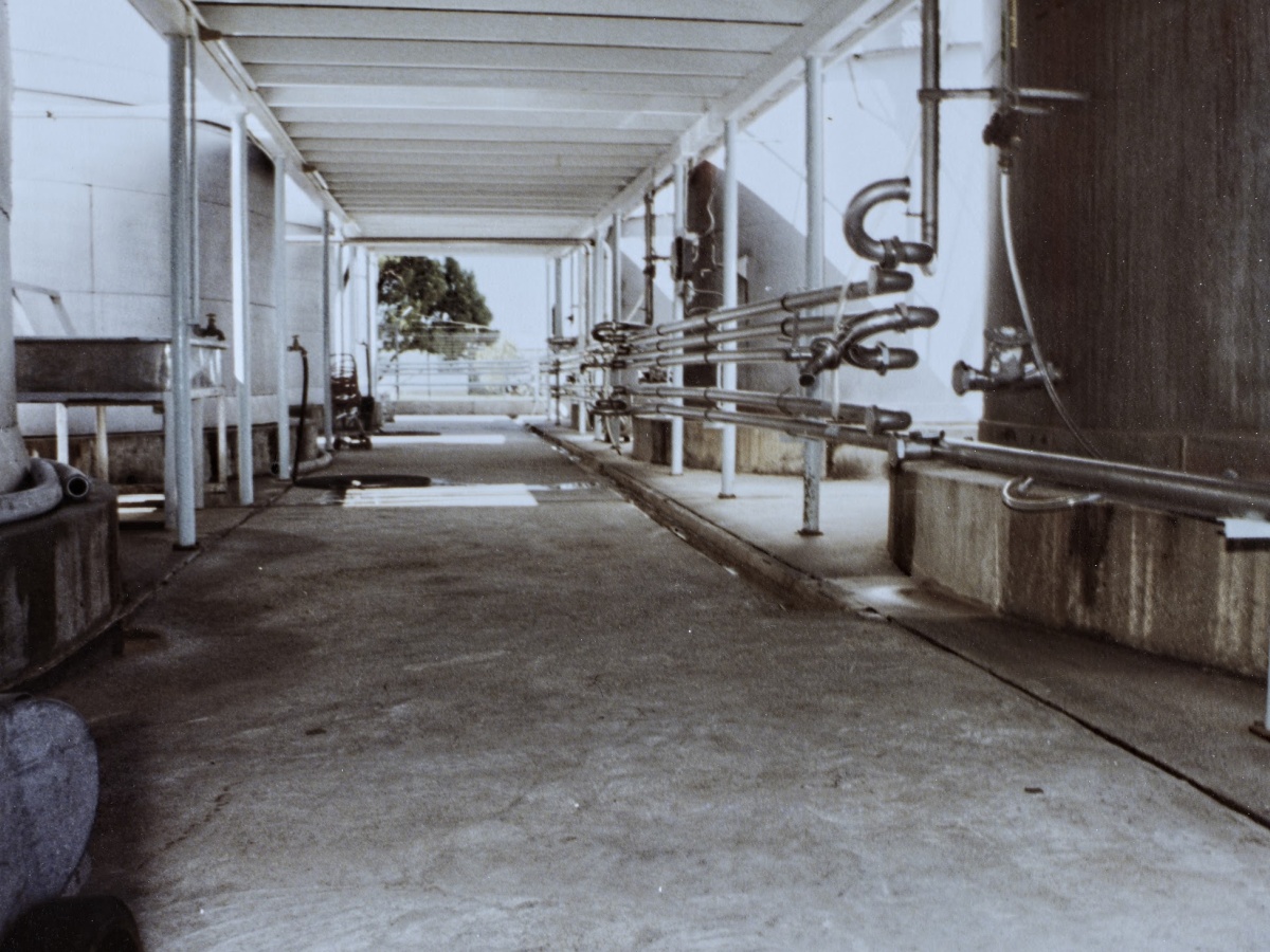 Brewhouse Cafe photo
