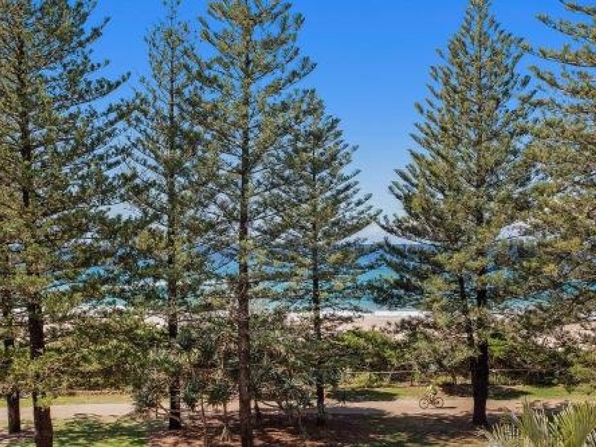 Burleigh Mediterranean Resort photo