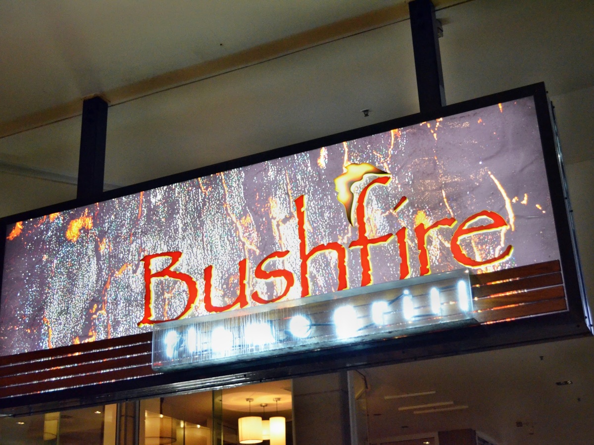 Bushfire Flame Grill photo