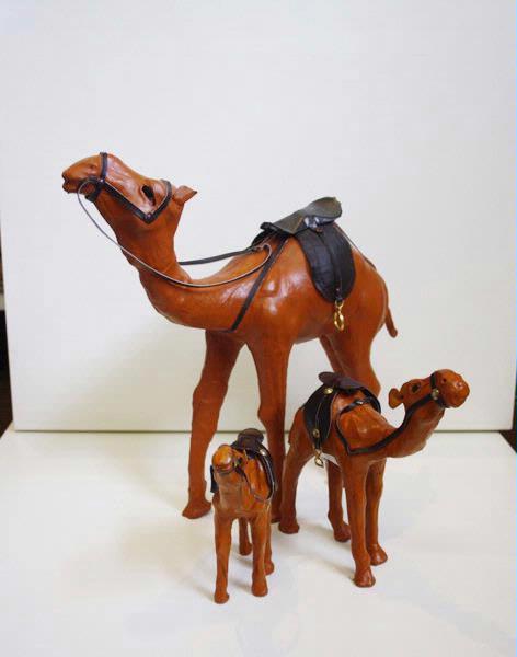 Camel Store photo