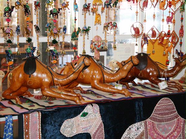 Camel Store photo