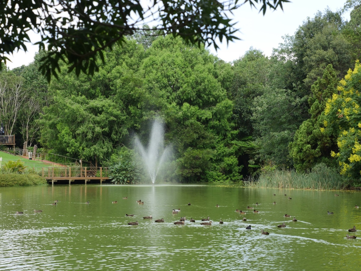 Cedar Creek Estate Vineyard & Winery photo