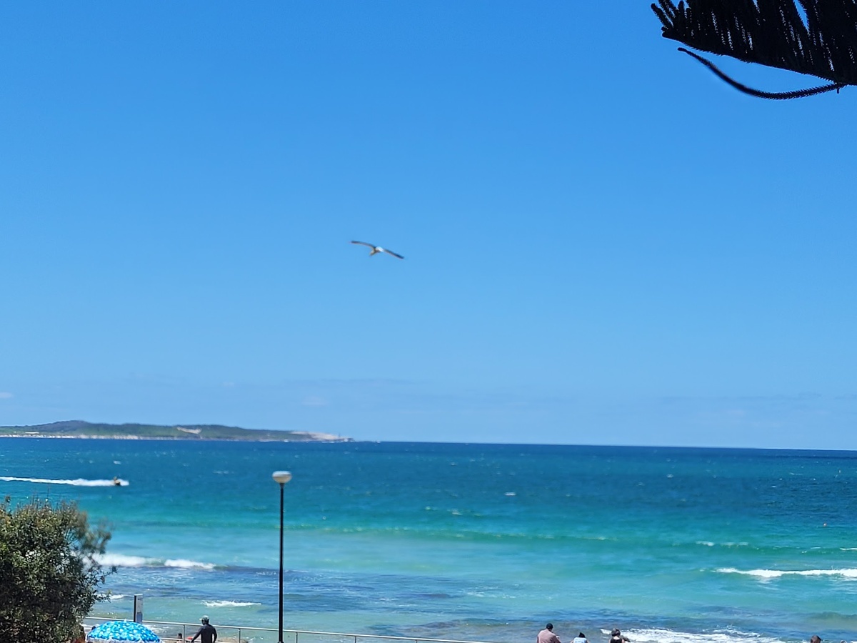 Cronulla RSL Club photo