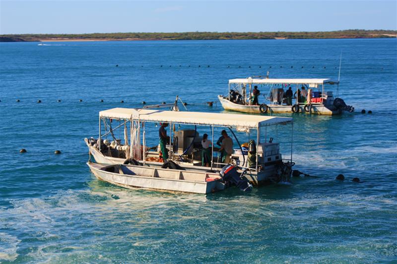 Cygnet Bay Pearl Farm Attractions photo