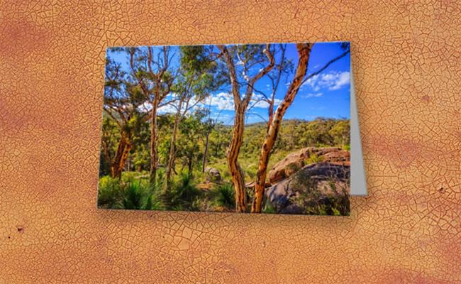 MAD About WA photo