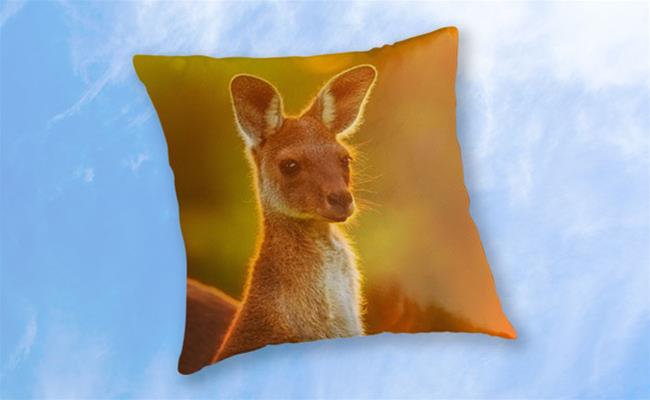 MAD About WA photo