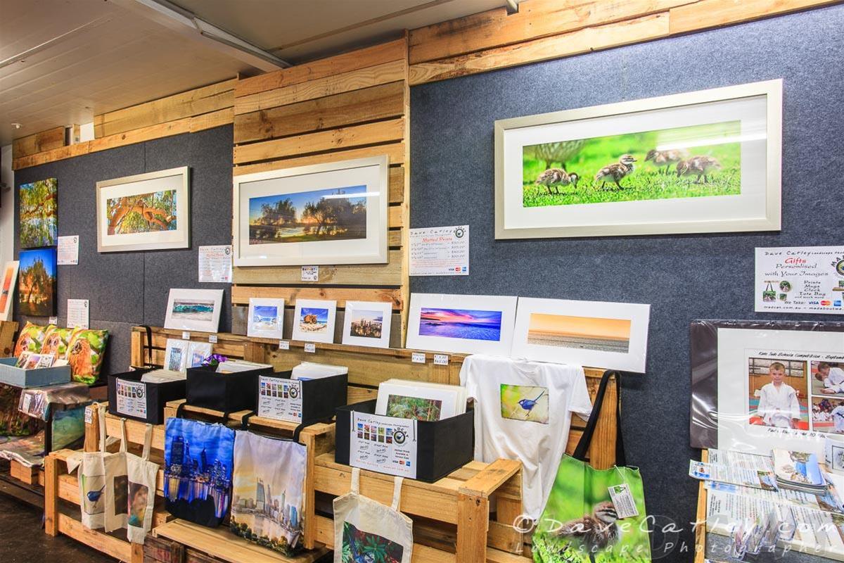 MADCAT Photography Gallery