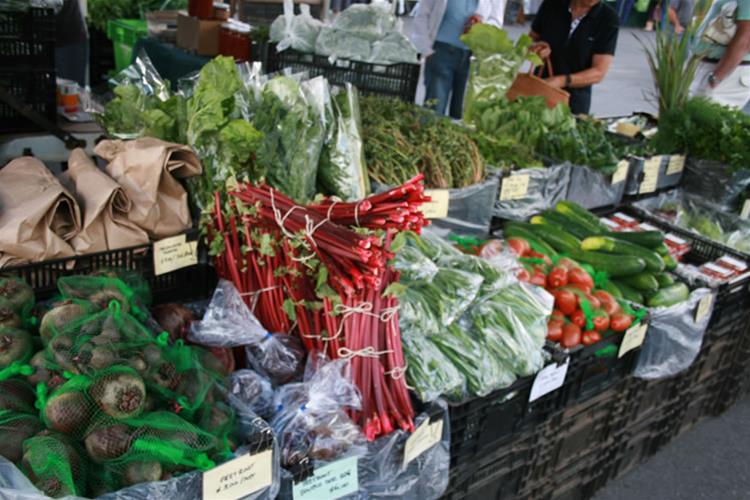 Albany Farmers Markets