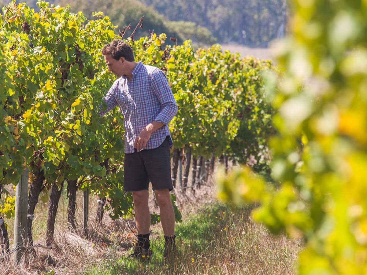 Walsh & Sons, Margaret River