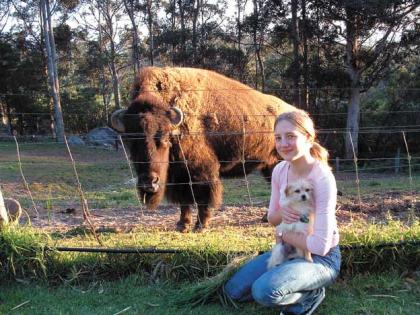 Pentland
