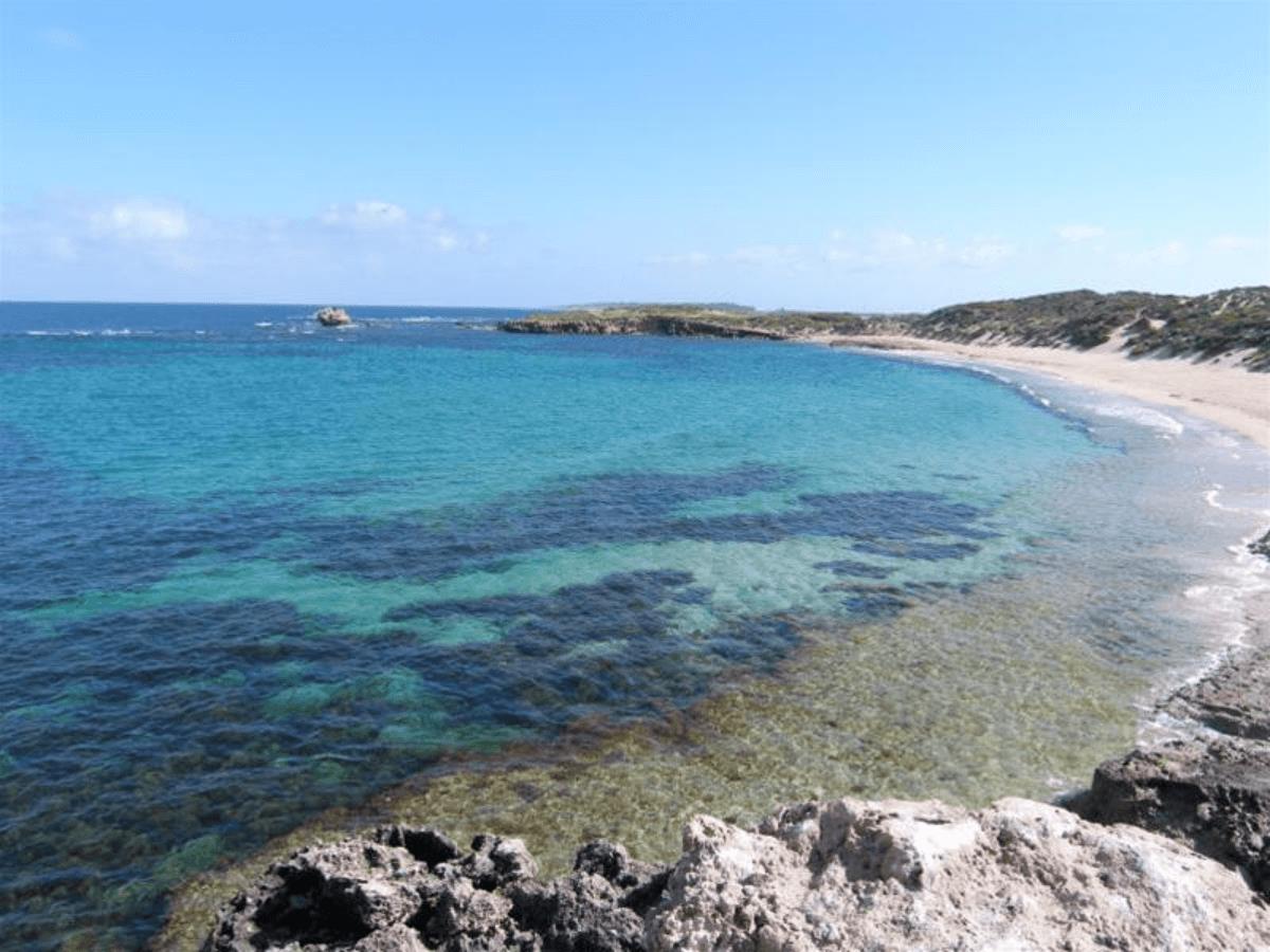Diving at Point Peron