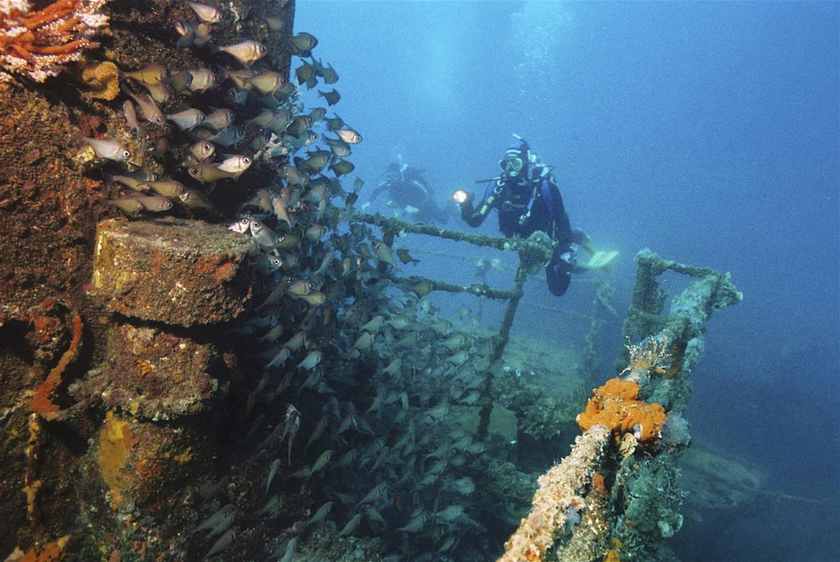 Diving at HMAS Perth Wreck