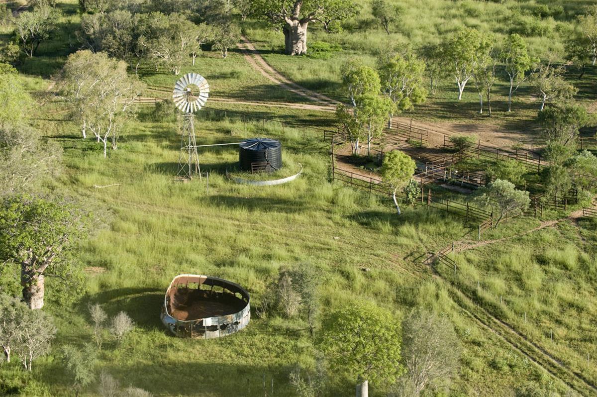 Yeeda Call Of The Kimberley Station Tour