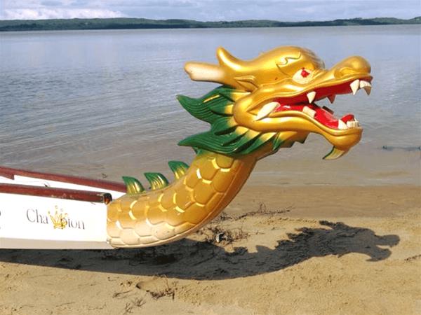 Denmark Dragon Boat Paddling