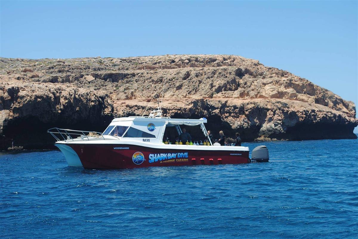 Shark Bay Dive & Marine Safaris
