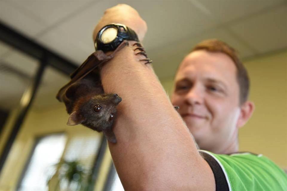 Critters Conservation Centre at Mandurah Forum