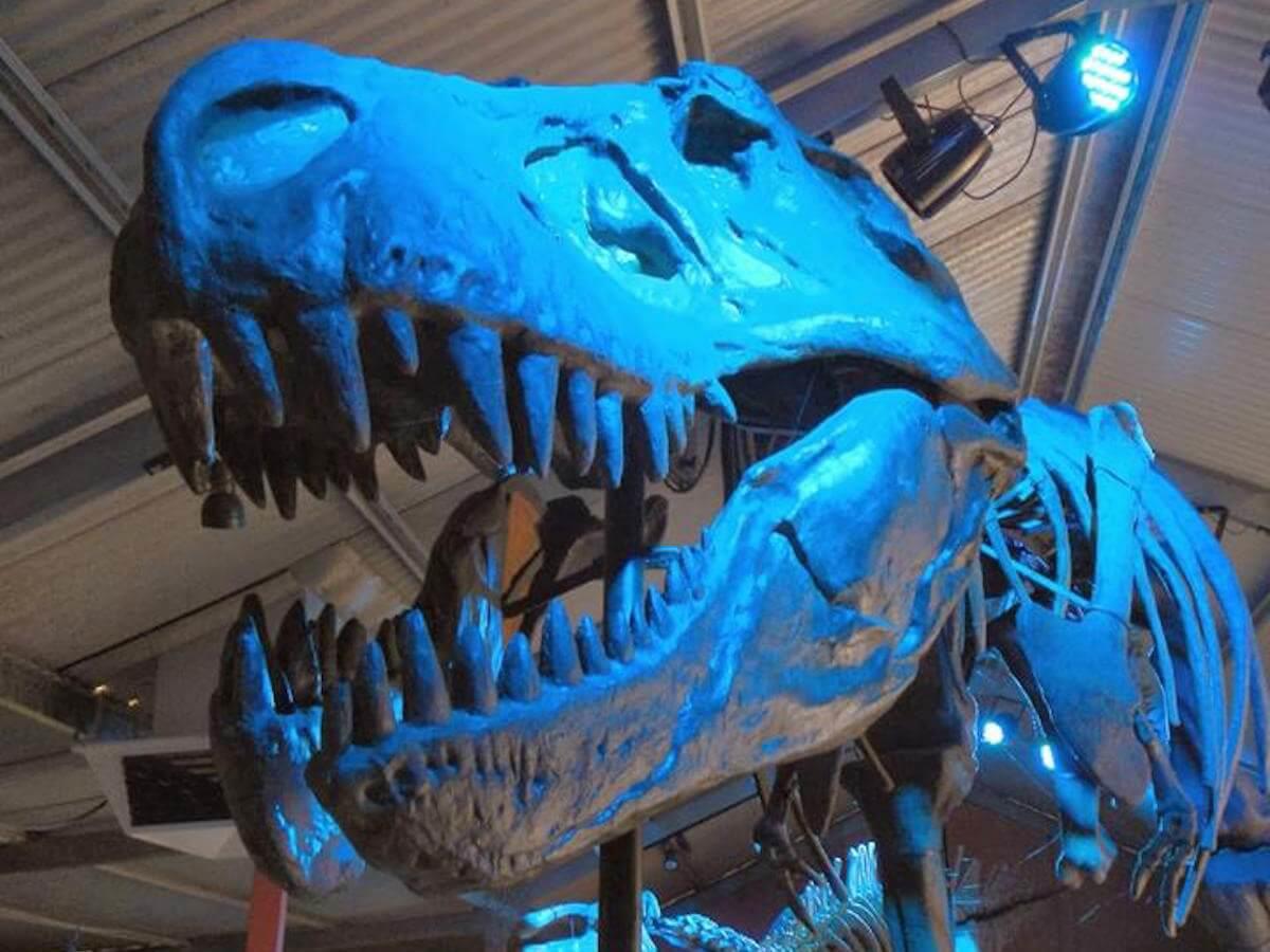 Denmark Dinosaur World