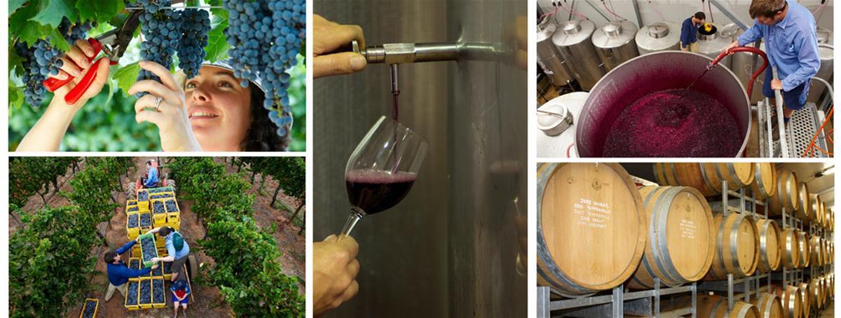Private Winery Tours
