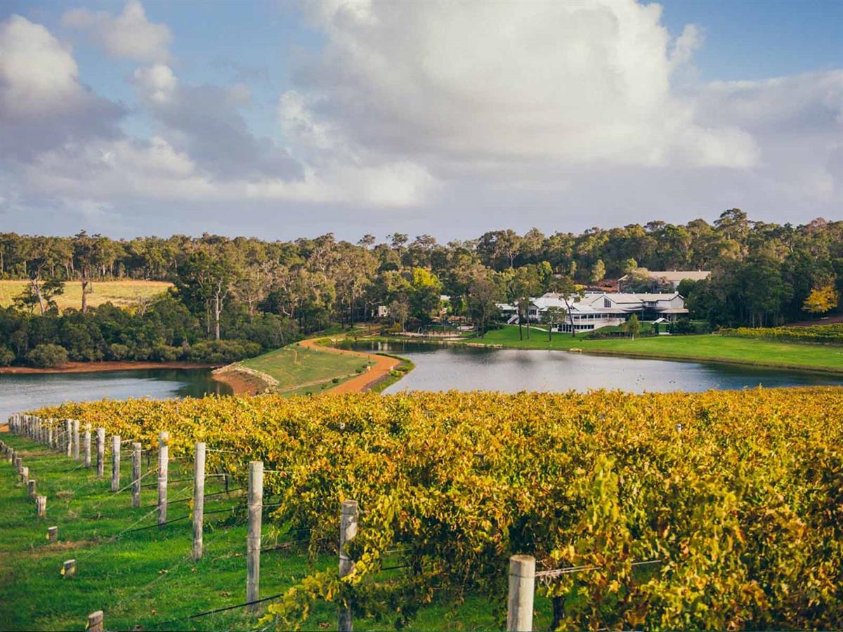 Aravina Estate