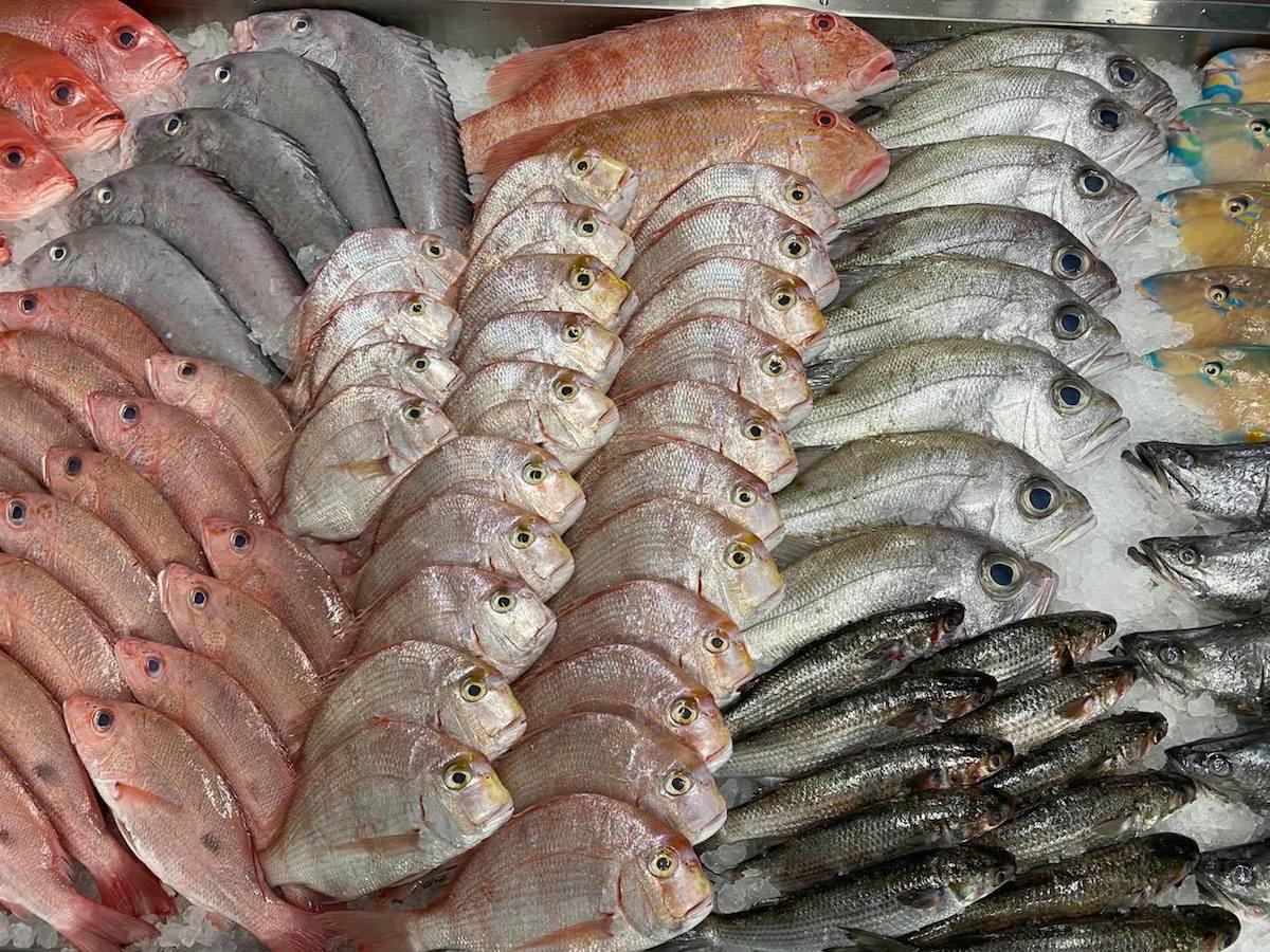 Curulli Seafood Market Midland