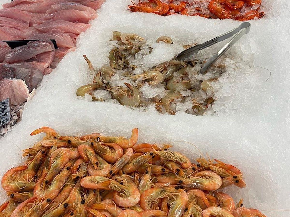 Catalano’s Seafood-Factory Direct